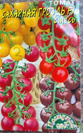 Рассада помидор