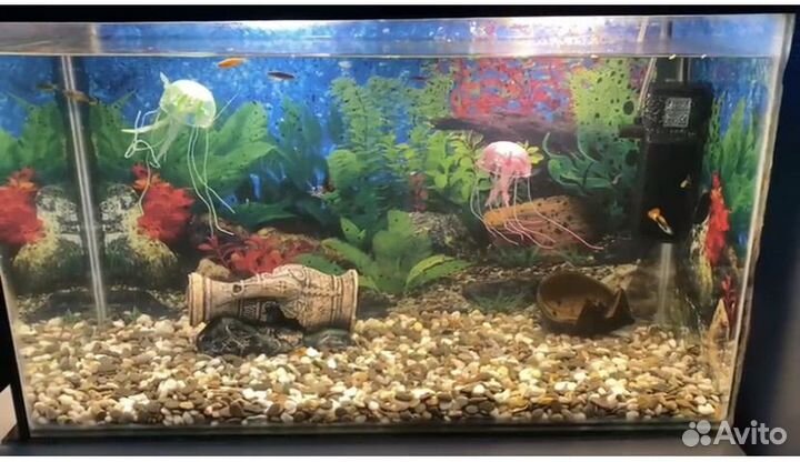 Аквариум