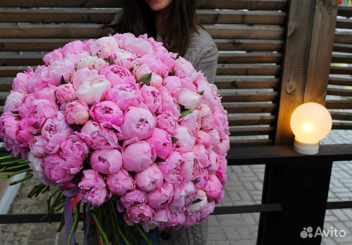 Пионы 11 15 25 51 101 Пион