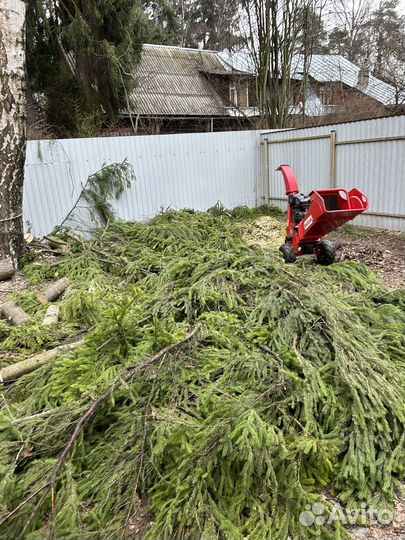 Срубить дерево