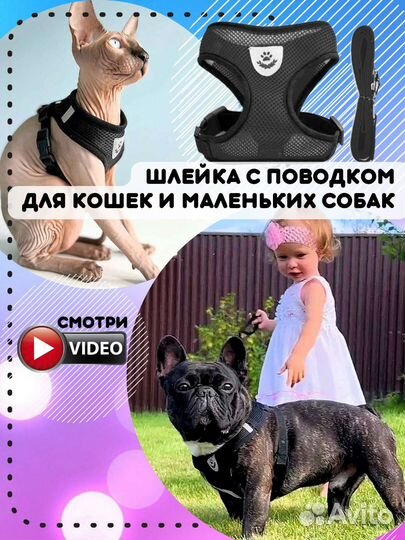 Готовый бизес на вб озон. Шлейки для собак и кошек
