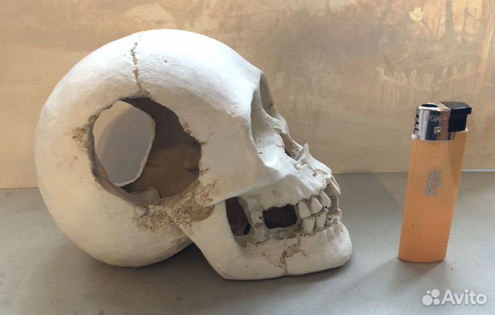 Аквариумный декор 