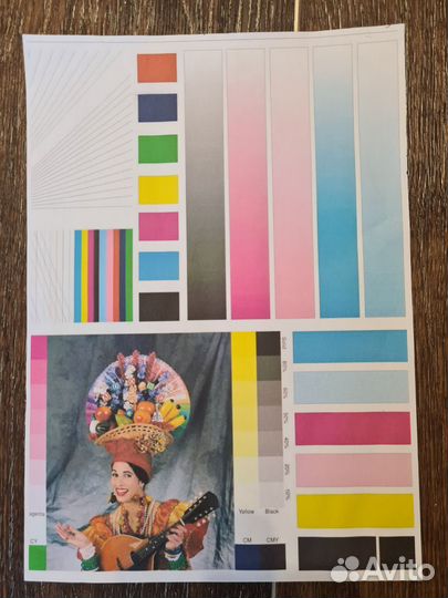 Принтер струйный epson L200