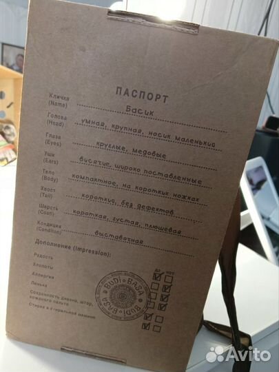 Мягкая игрушка кот басик