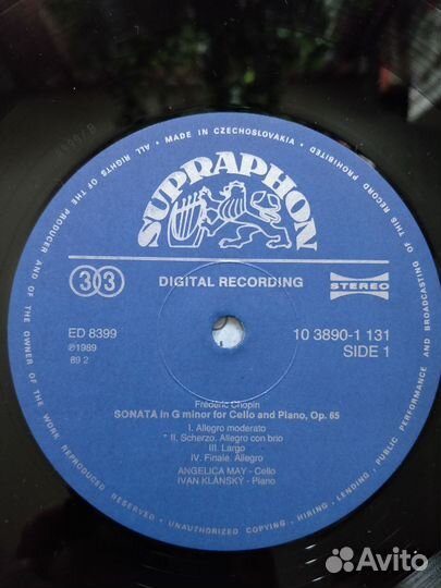 Frederic Chopin &Robert Shuman