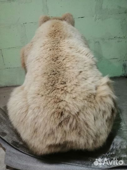 Чучело медведя, имитация животного