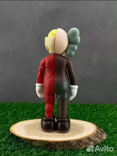 Kaws Anatomy