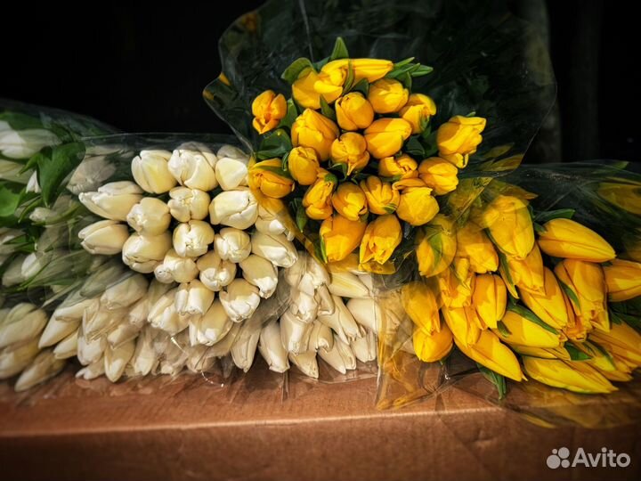 Тюльпаны к 8 марта