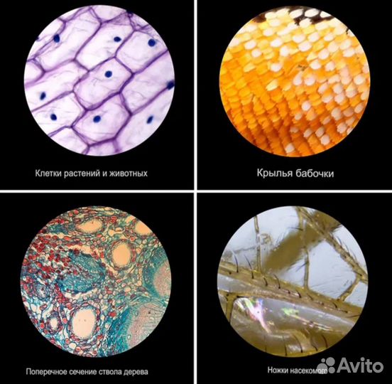 Микроскоп Meterk 2400