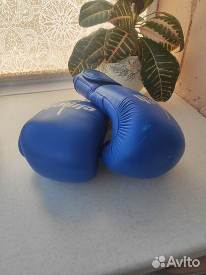 Боксерские перчатки 12 oz clinch