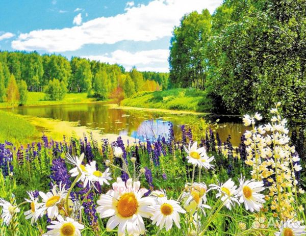 Алмазная мозаика 40x50 Поляна цветов