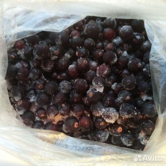 Черника,черная и белая смородина