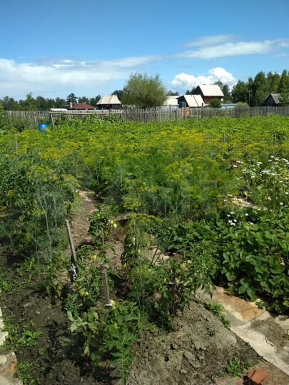 Дача 25 м² на участке 15 сот.