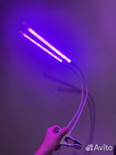 Фито Лампа для растений цветов