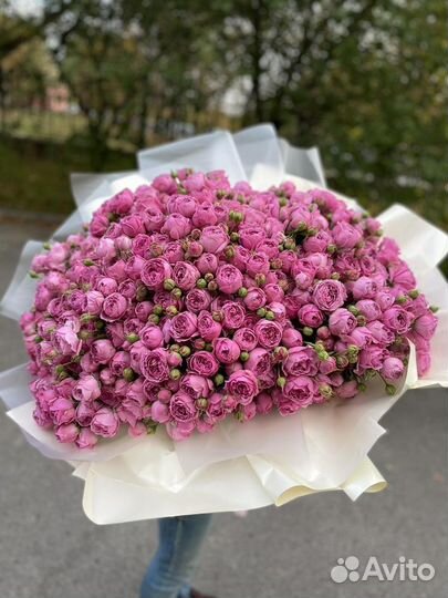 Пионовидная роза