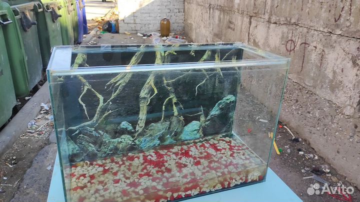 Аквариум