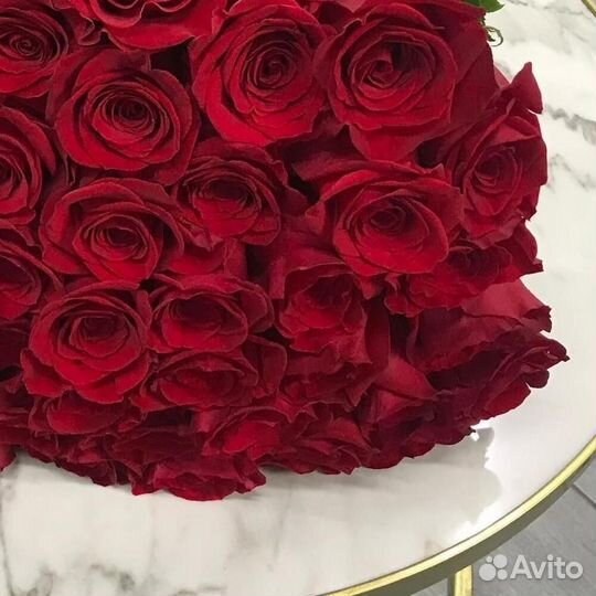Розы 51 штука