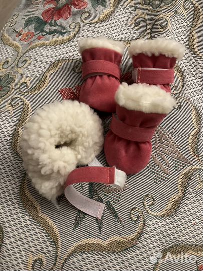 Зимние ботиночки для маленькой собачки