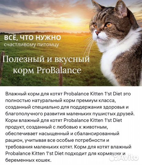 Влажный корм для котят и беременных кошек