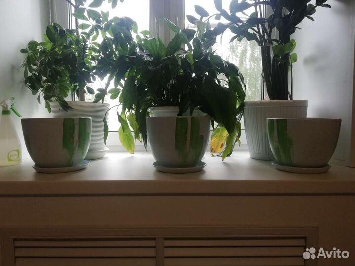 Керамический горшок с поддоном