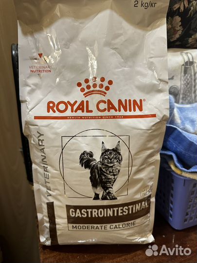 Корм для кошек