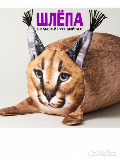 Шла игрушка новая