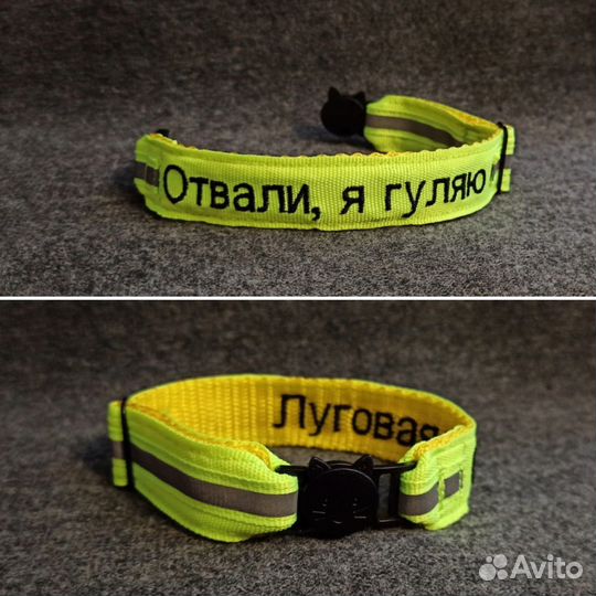 Ошейник для кошек