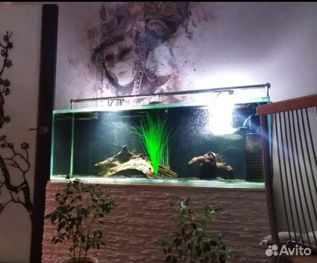 Изготовление аквариумов на заказ