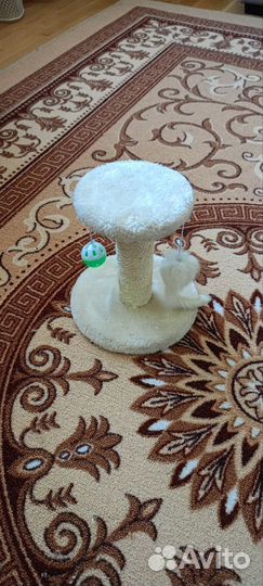 Когтеточка для кошек бу, высота 22 см