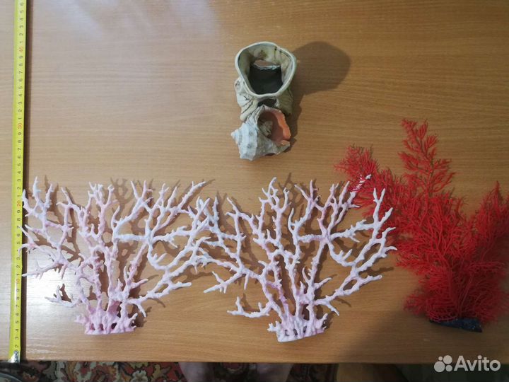 Искусственные растения и декорации