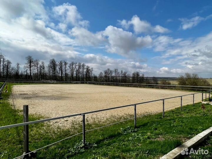 Продается готовый бизнес (конюшня)