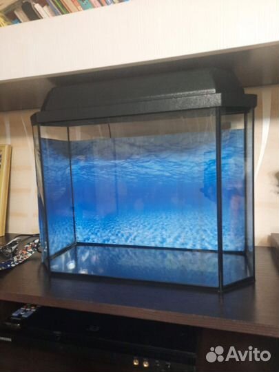 Аквариум