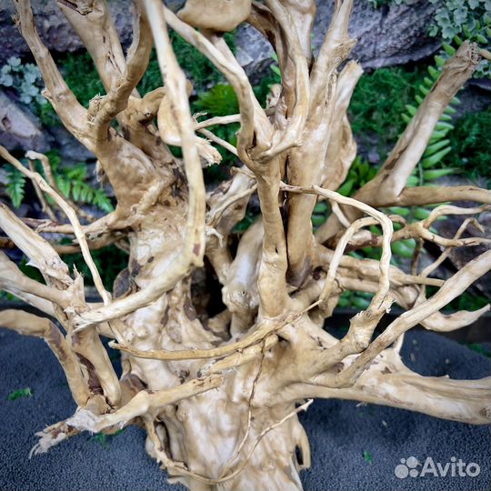 Коряга для аквариума Корень Азалии (нк101)