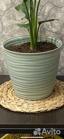Кашпо горшок для цветов