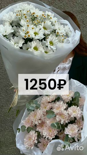 Хризантема /букет /нежные цветы