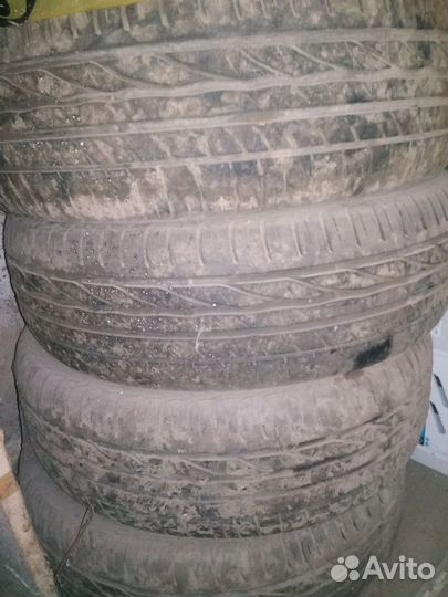 Nexen Winguard 205/65 R15