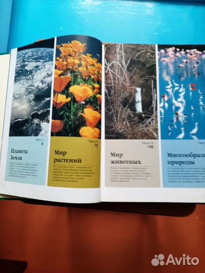 Книга Азбука природы