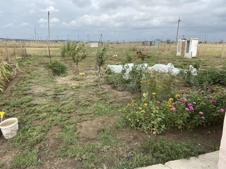 Дача 25 м² на участке 6 сот.