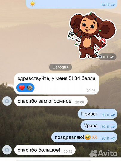 Репетитор по обществознанию и русскому языку