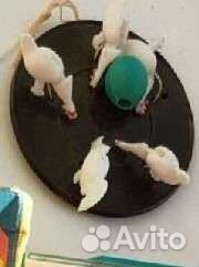 Игрушка СССР курочки клюют зернышки