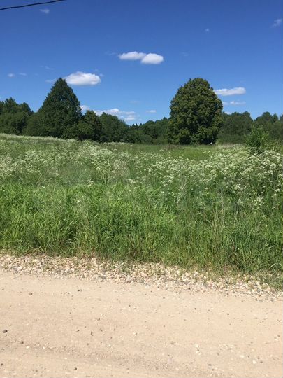 Участок 20 сот. (ИЖС)