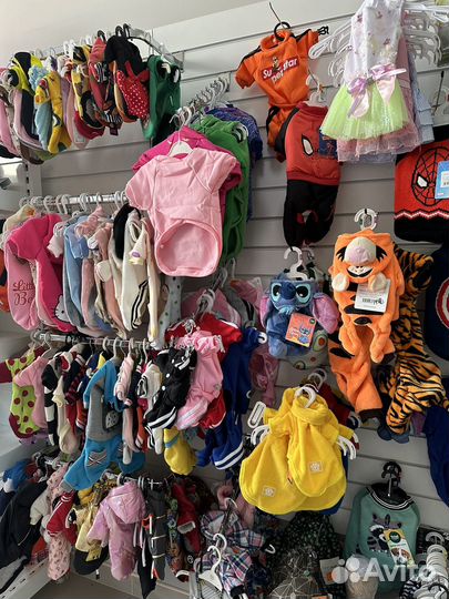 Одежда для собак