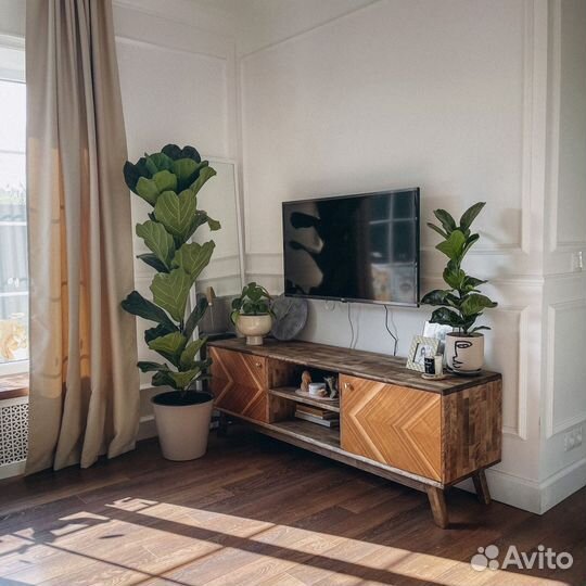 Тумба под тв Fusion 160х55х40 см из массива дерева