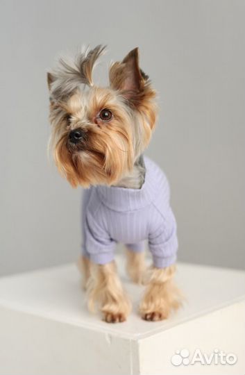 Комбинезон для собаки