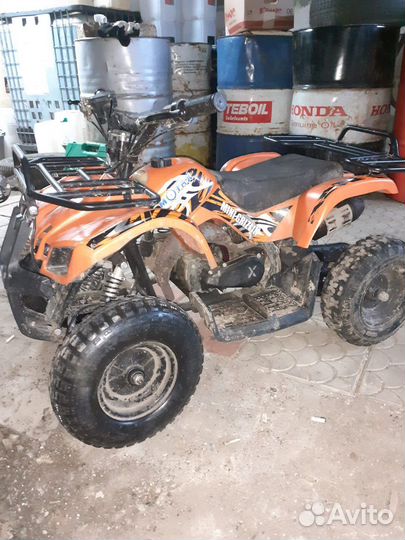 Мини-гризли