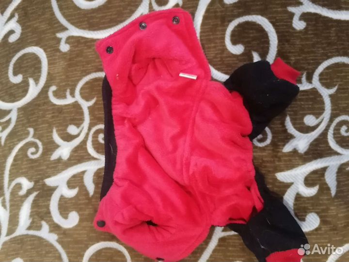 Одежда для маленьких собак бу