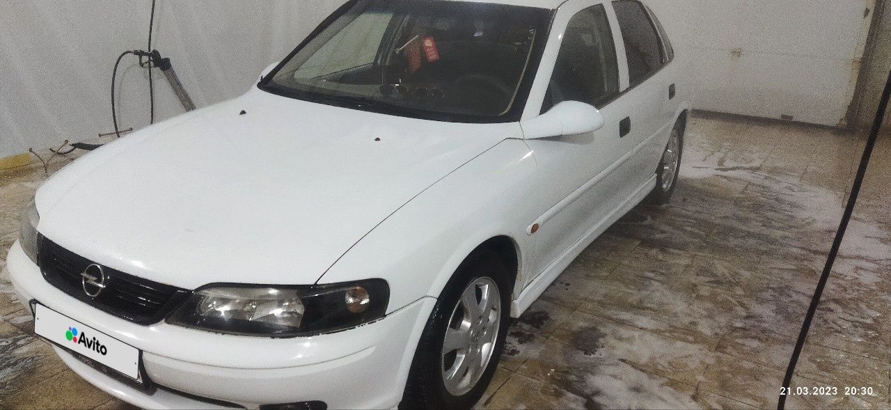Opel Vectra: фото владельца