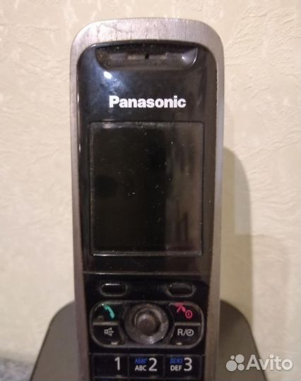 Panasonic