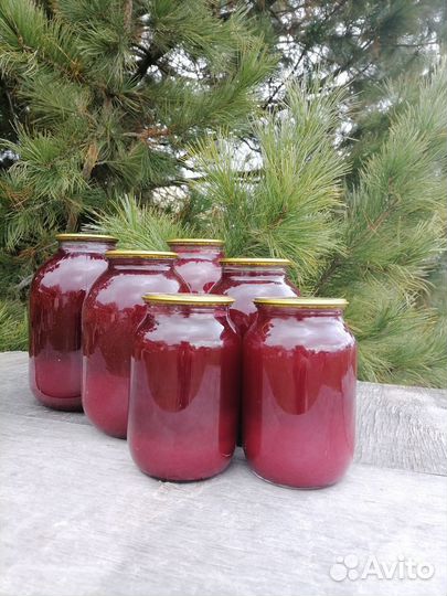 Брусника. Брусничный морс и сок