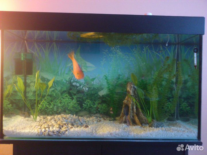 Аквариум с тумбой 200 литров